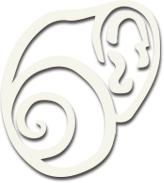 Logo Raarmusic